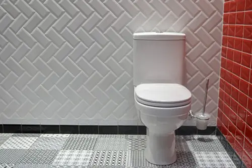 Toilet-Installation--in-Bellmore-New-York-toilet-installation-bellmore-new-york.jpg-image