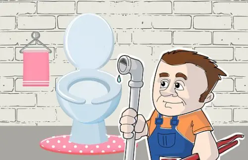 Toilet-Repair--toilet-repair.jpg-image